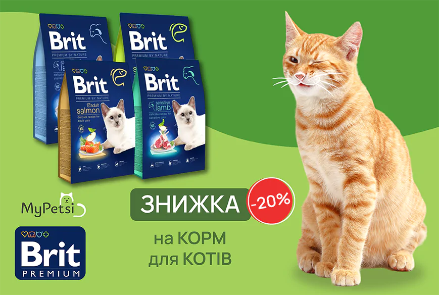 Знижка на корм для котів Brit Premium