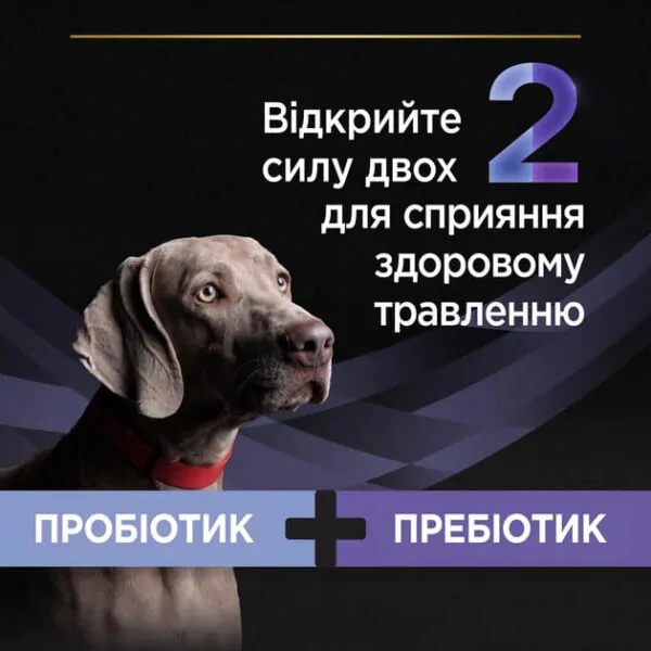 Пробіотик з пребіотиком для собак та цуценят Purina Pro Plan FortiFlora Plus для підтримання міклофлори кишечника 30 x 2 г
