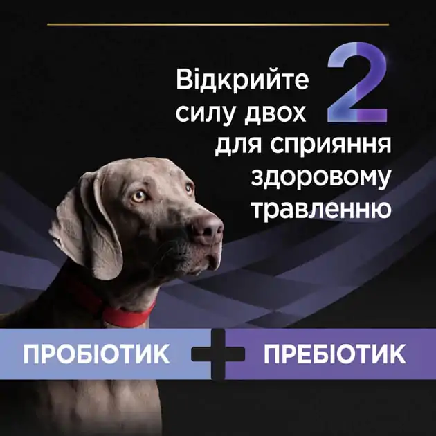 Пробіотик з пребіотиком для собак та цуценят Purina Pro Plan FortiFlora Plus для підтримання міклофлори кишечника 30 x 2 г Пробіотик з пребіотиком для собак та цуценят Purina Pro Plan FortiFlora Plus для підтримання міклофлори кишечника 30 x 2 г