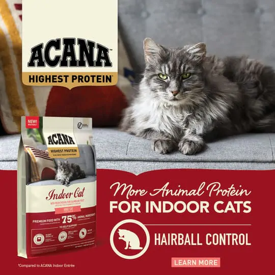 Acana Highest Protein Indoor Cat - сухий корм для котів