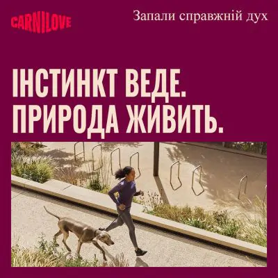 Carnilove Duck & Pheasant - вологий корм для собак паштет качка і фазан 400 г