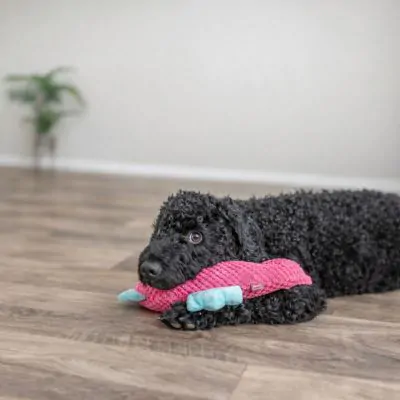 Іграшка Trixie для собак Морський коник плюш рожевий 28 см