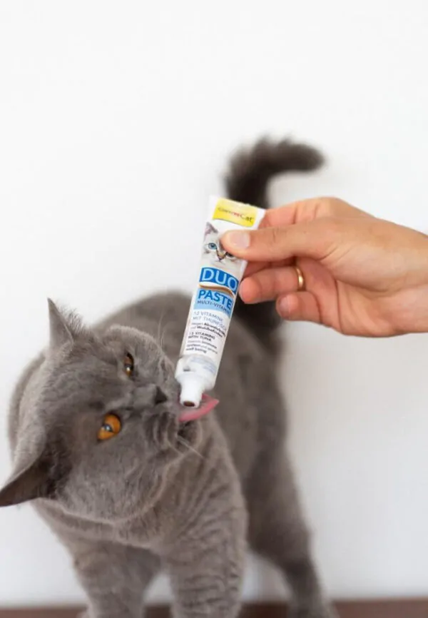 Мультивітамінна паста для котів GimCat DUO PASTE Multi-vitamin 12 vitamins з тунцем 50 г
