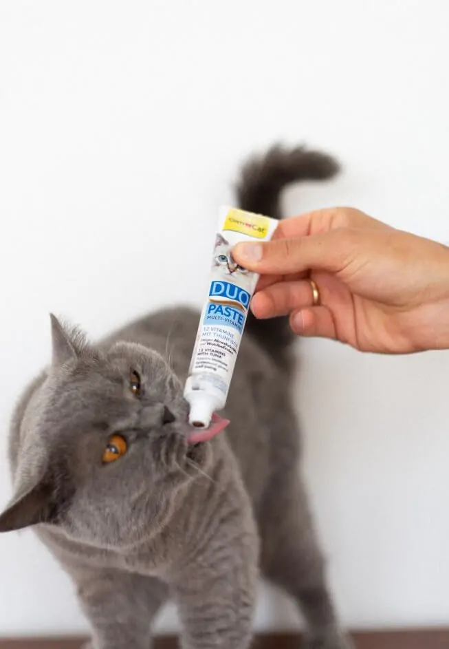 Мультивітамінна паста для котів GimCat DUO PASTE Multi-vitamin 12 vitamins з тунцем 50 г